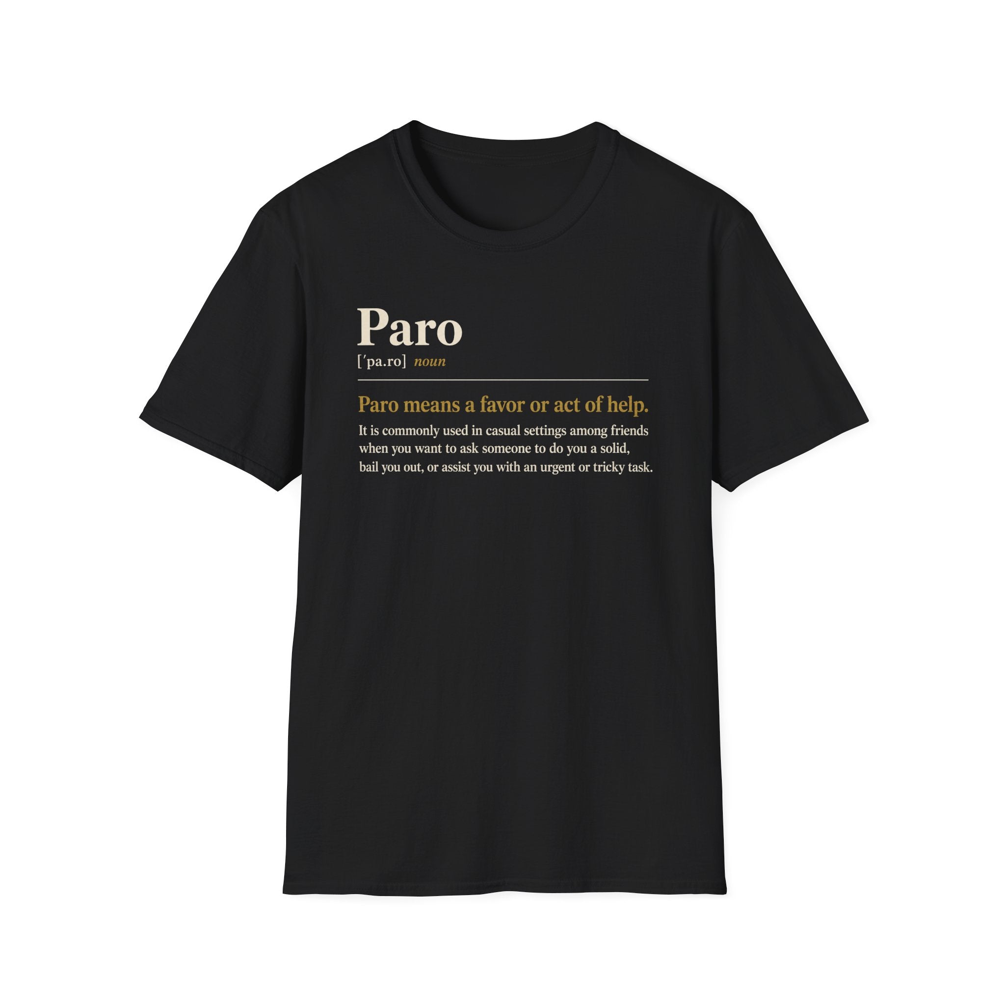 Paro Definition T-Shirt — Casual Slang Dictionary Tee