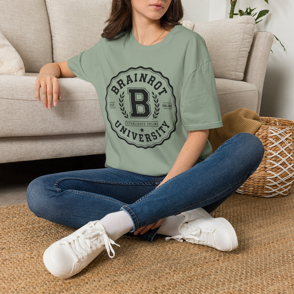 Brainrot University Logo T-Shirt — Vintage Collegiate Graphic Tee