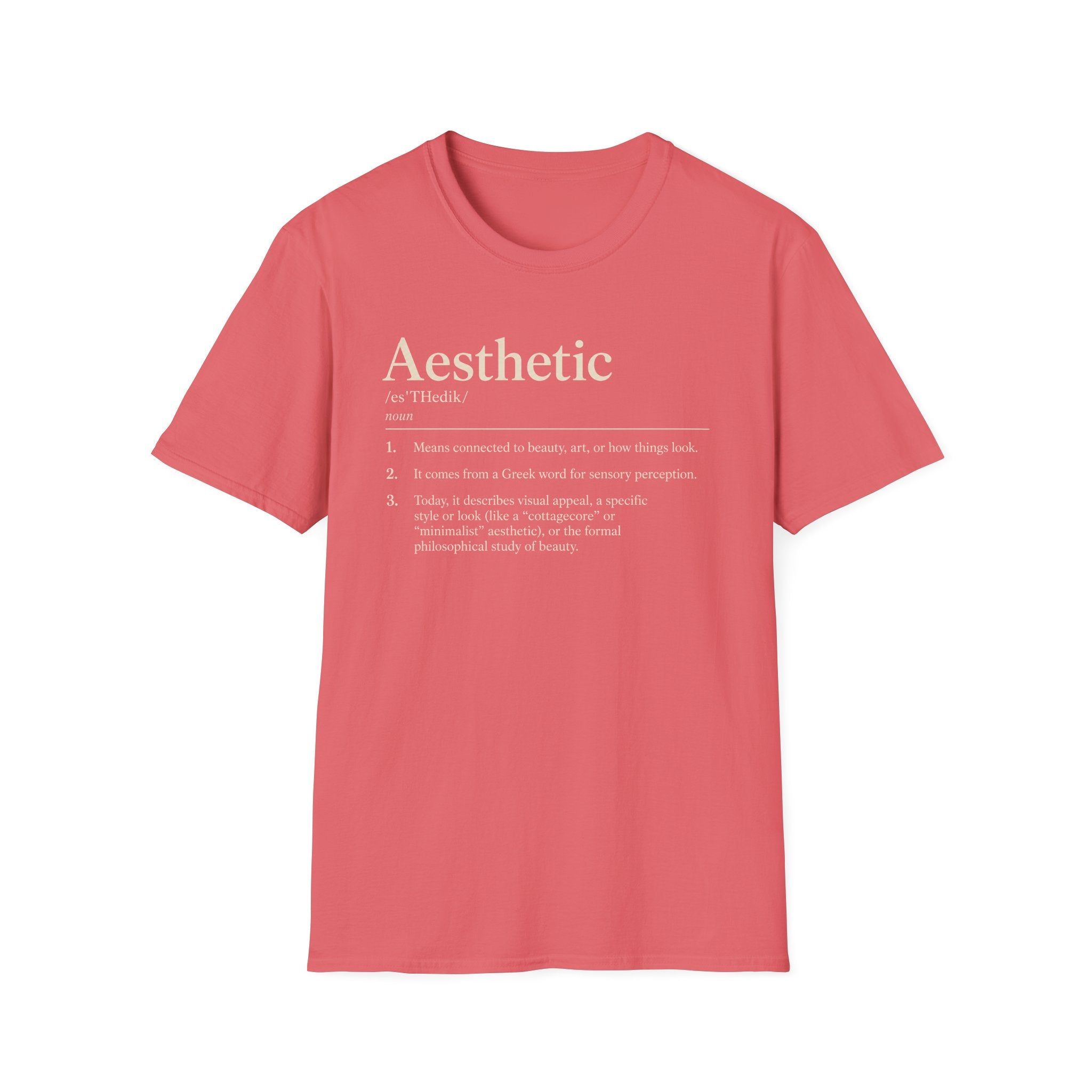 Aesthetic Definition T-Shirt — Minimalist Typography Tee
