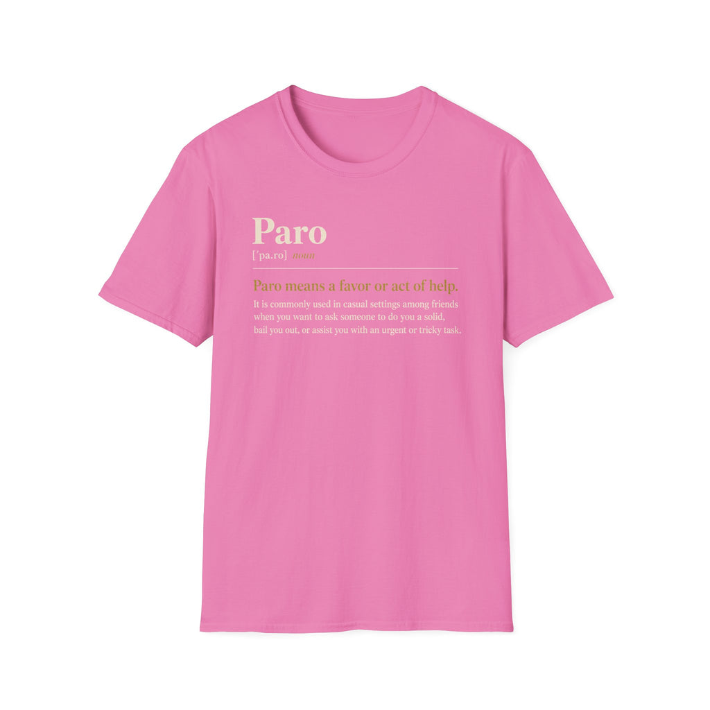 Paro Definition T-Shirt — Casual Slang Dictionary Tee
