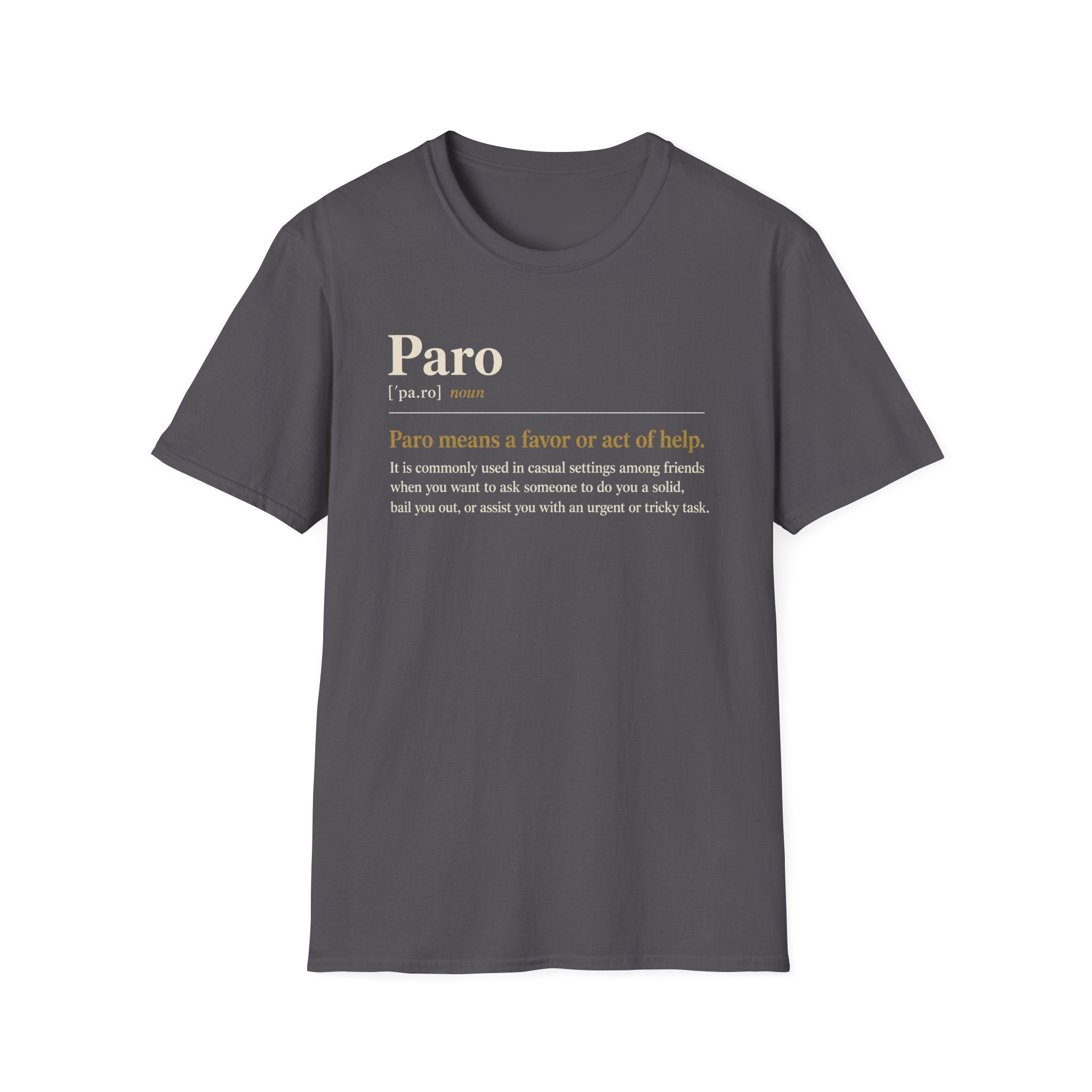 Paro Definition T-Shirt — Casual Slang Dictionary Tee