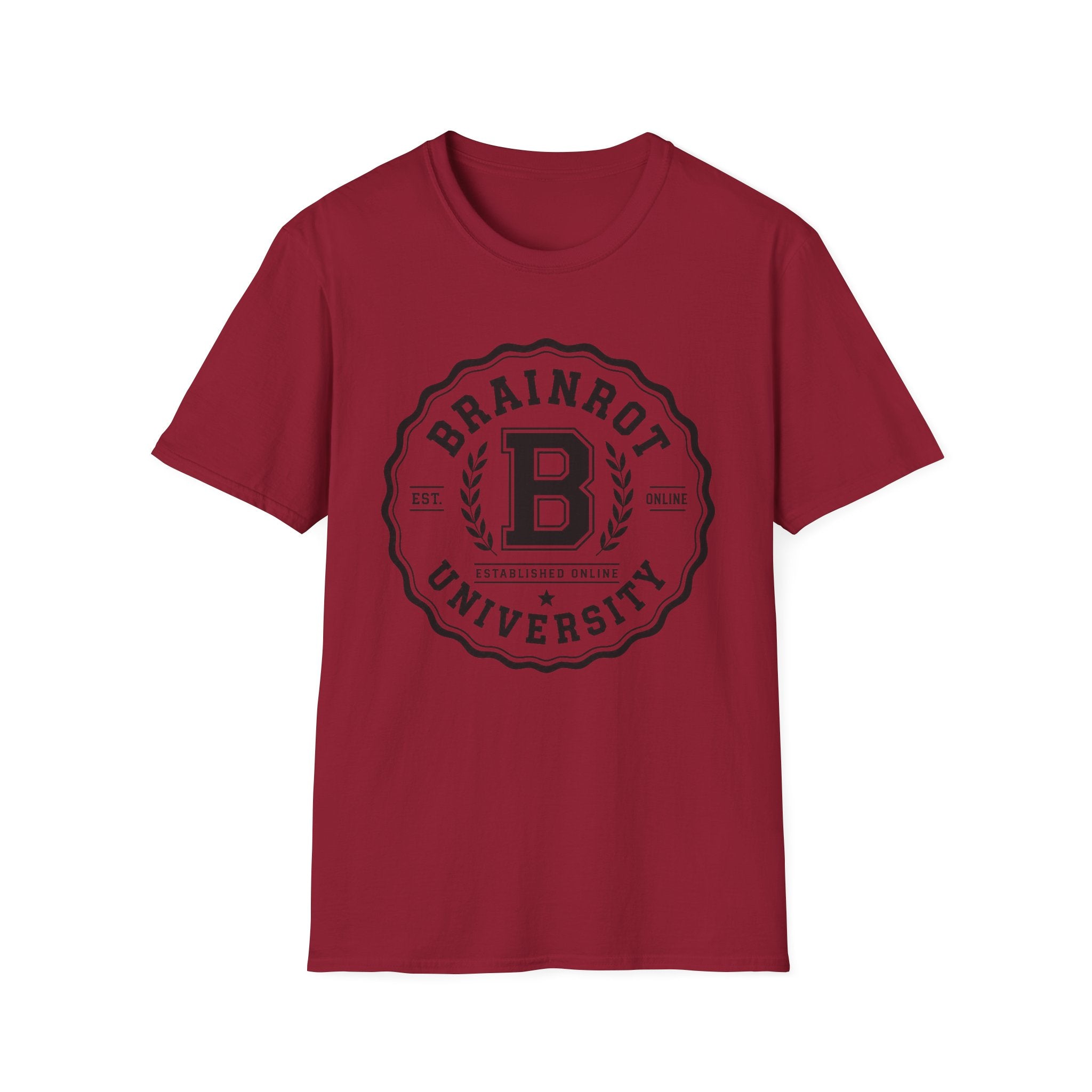 Brainrot University Logo T-Shirt — Vintage Collegiate Graphic Tee