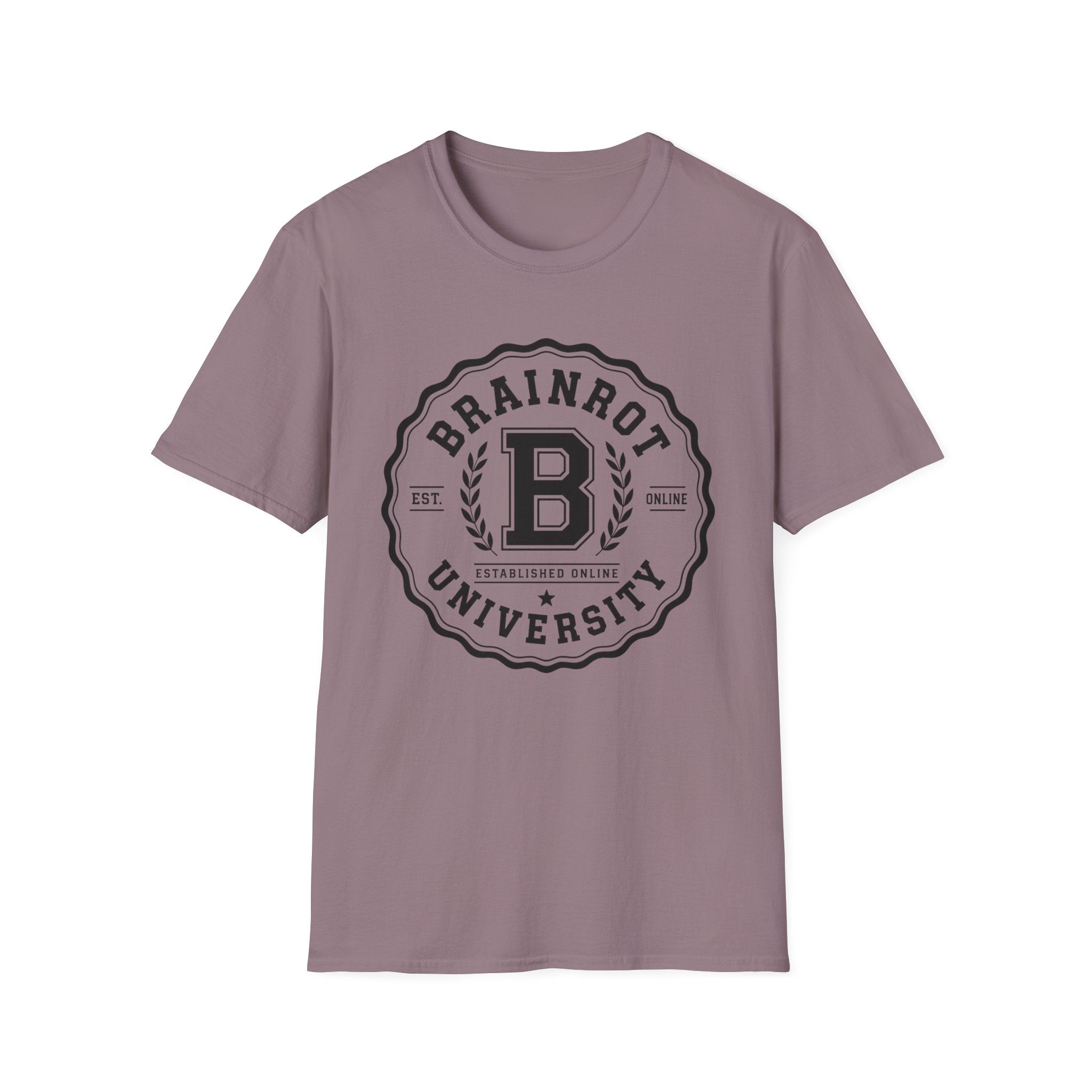 Brainrot University Logo T-Shirt — Vintage Collegiate Graphic Tee