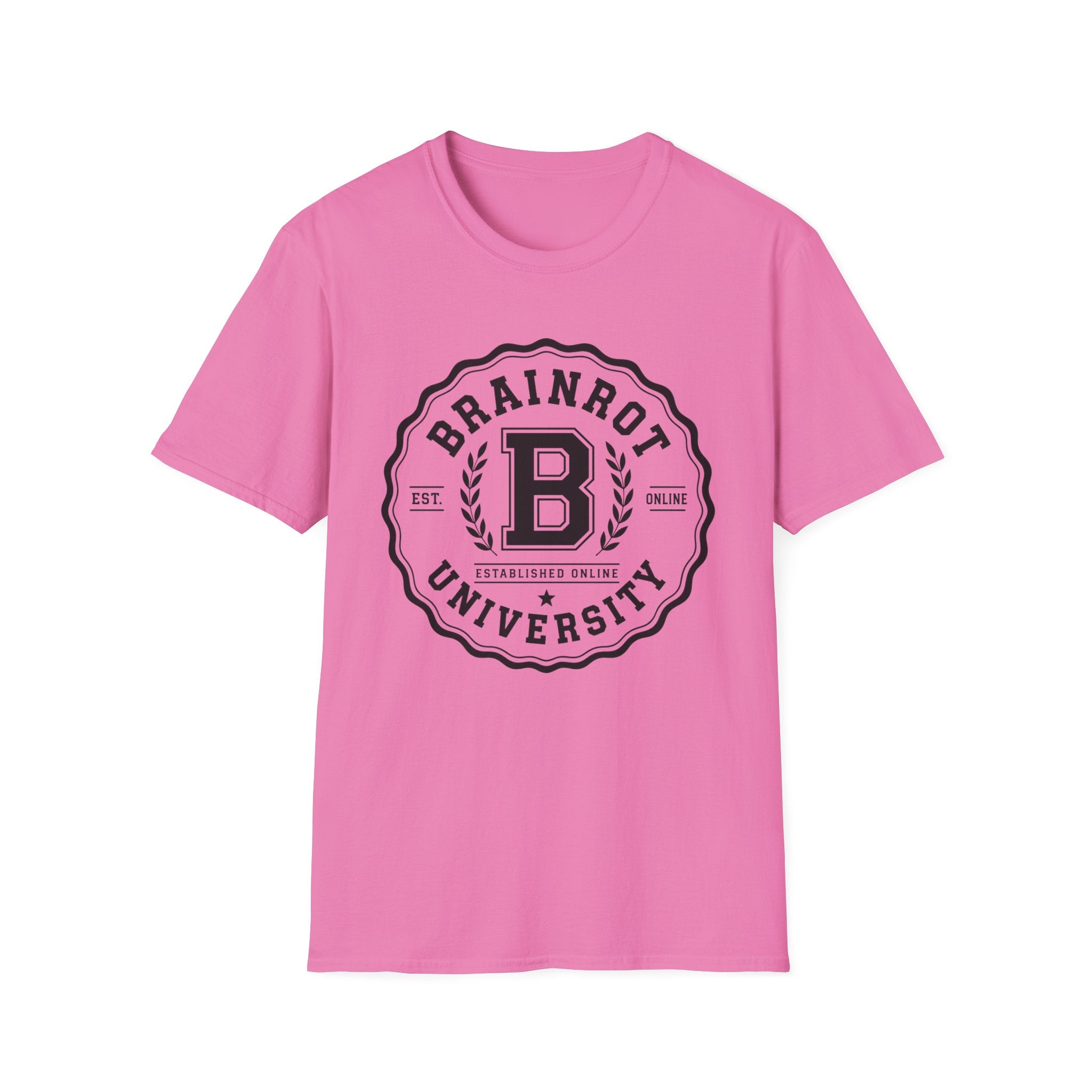 Brainrot University Logo T-Shirt — Vintage Collegiate Graphic Tee