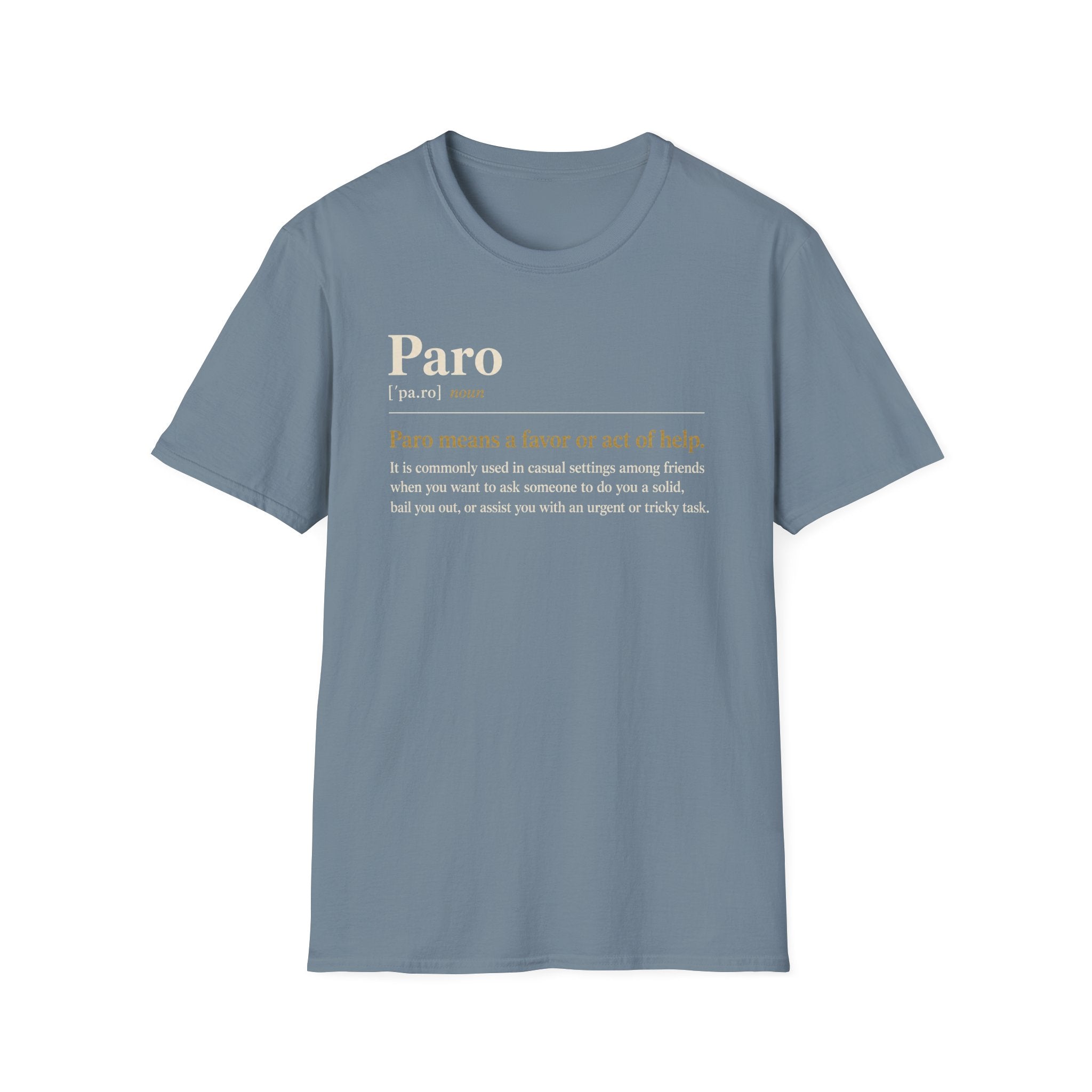 Paro Definition T-Shirt — Casual Slang Dictionary Tee