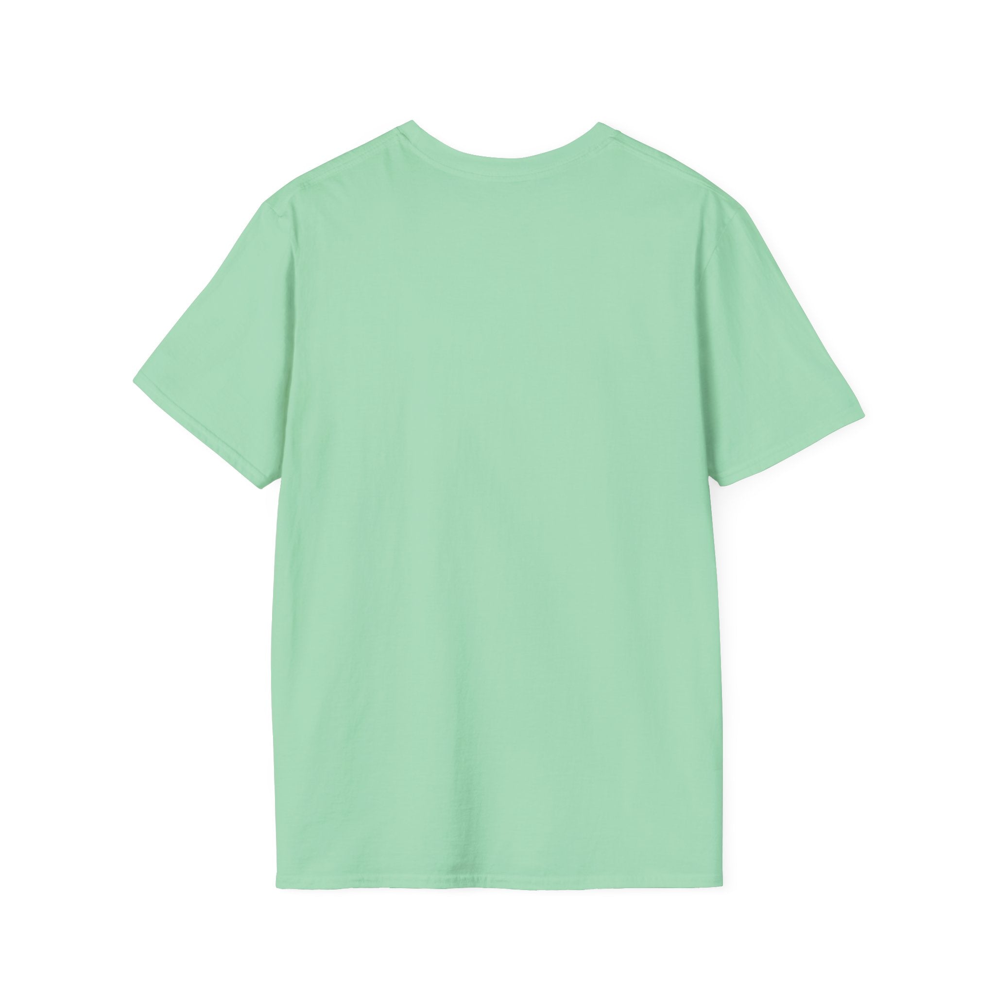 Streamer Definition T-Shirt — Feminine Pink 'Streamer' Dictionary Tee for Content Creators