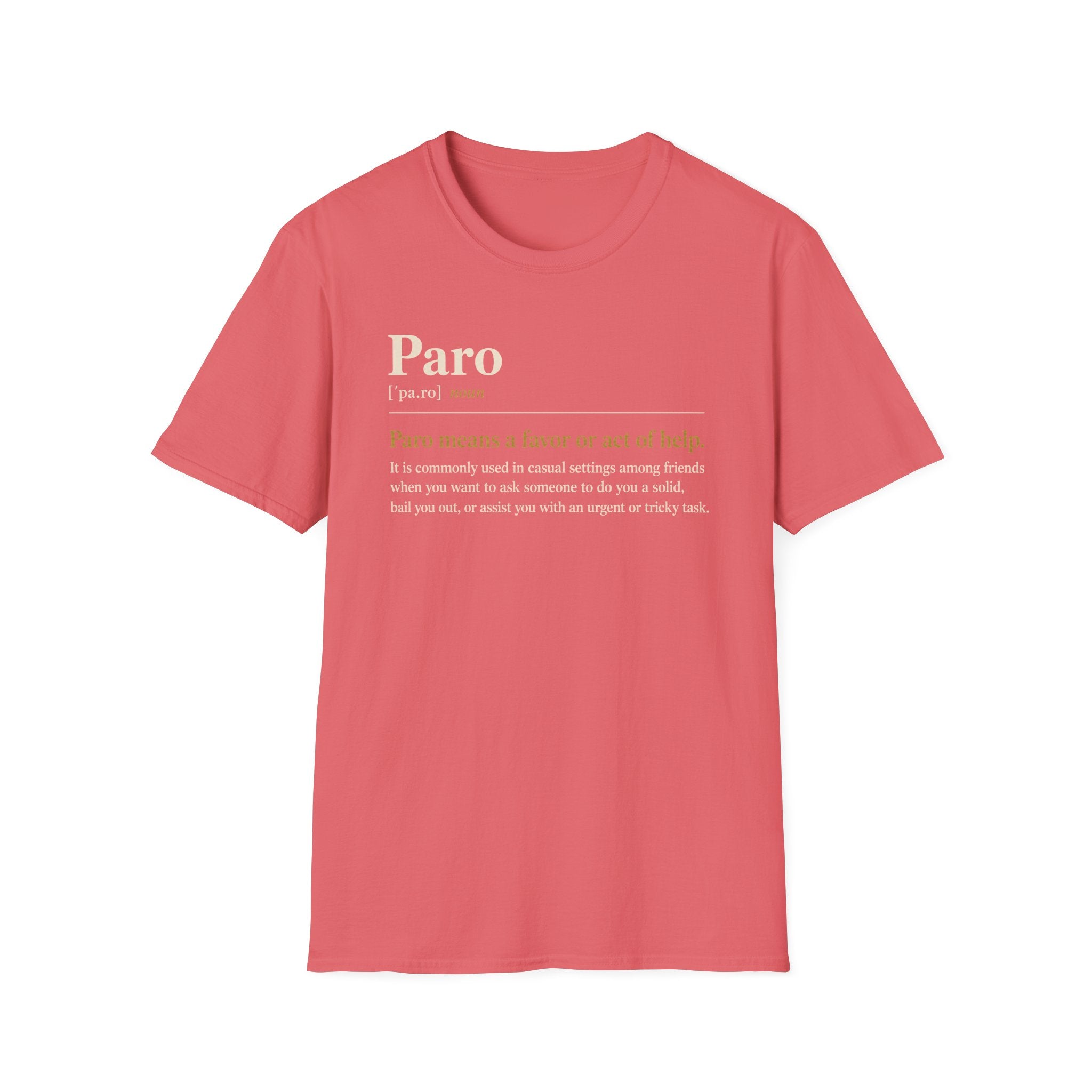 Paro Definition T-Shirt — Casual Slang Dictionary Tee