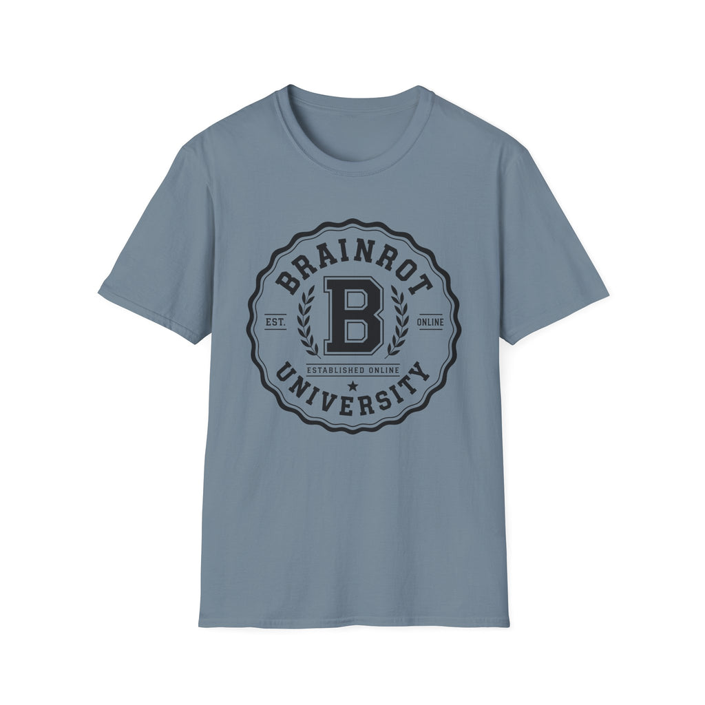 Brainrot University Logo T-Shirt — Vintage Collegiate Graphic Tee