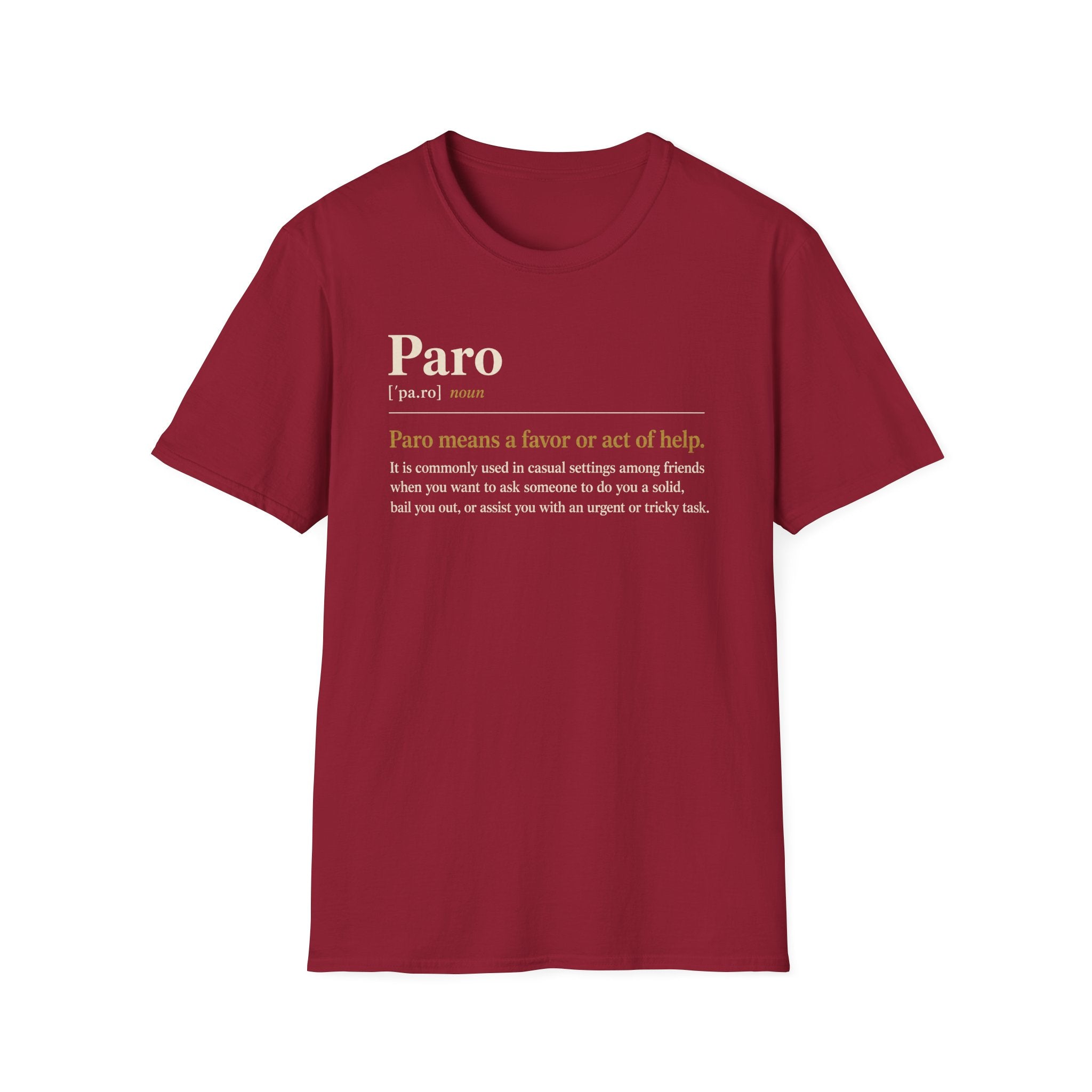 Paro Definition T-Shirt — Casual Slang Dictionary Tee