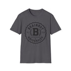 Brainrot University Logo T-Shirt — Vintage Collegiate Graphic Tee