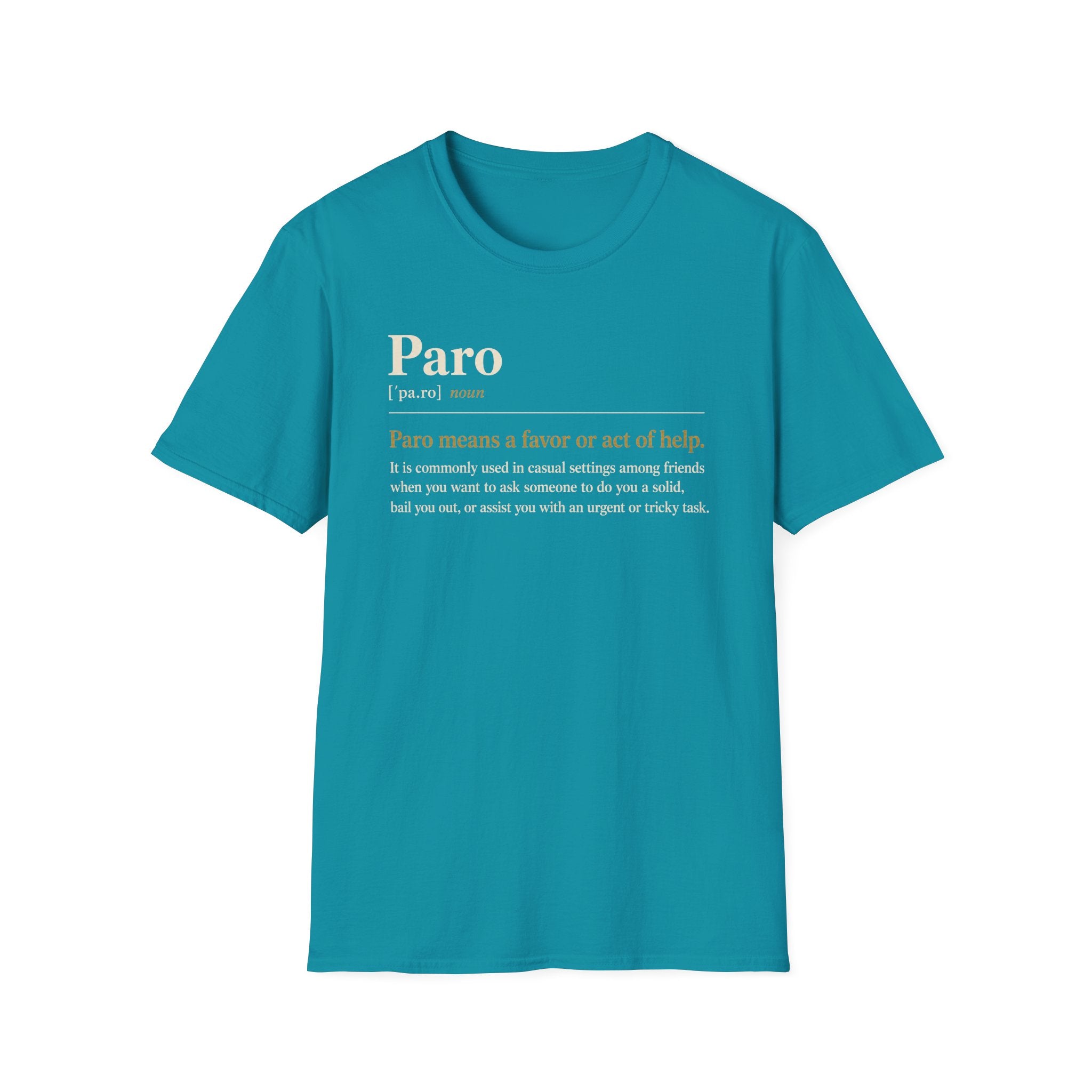 Paro Definition T-Shirt — Casual Slang Dictionary Tee