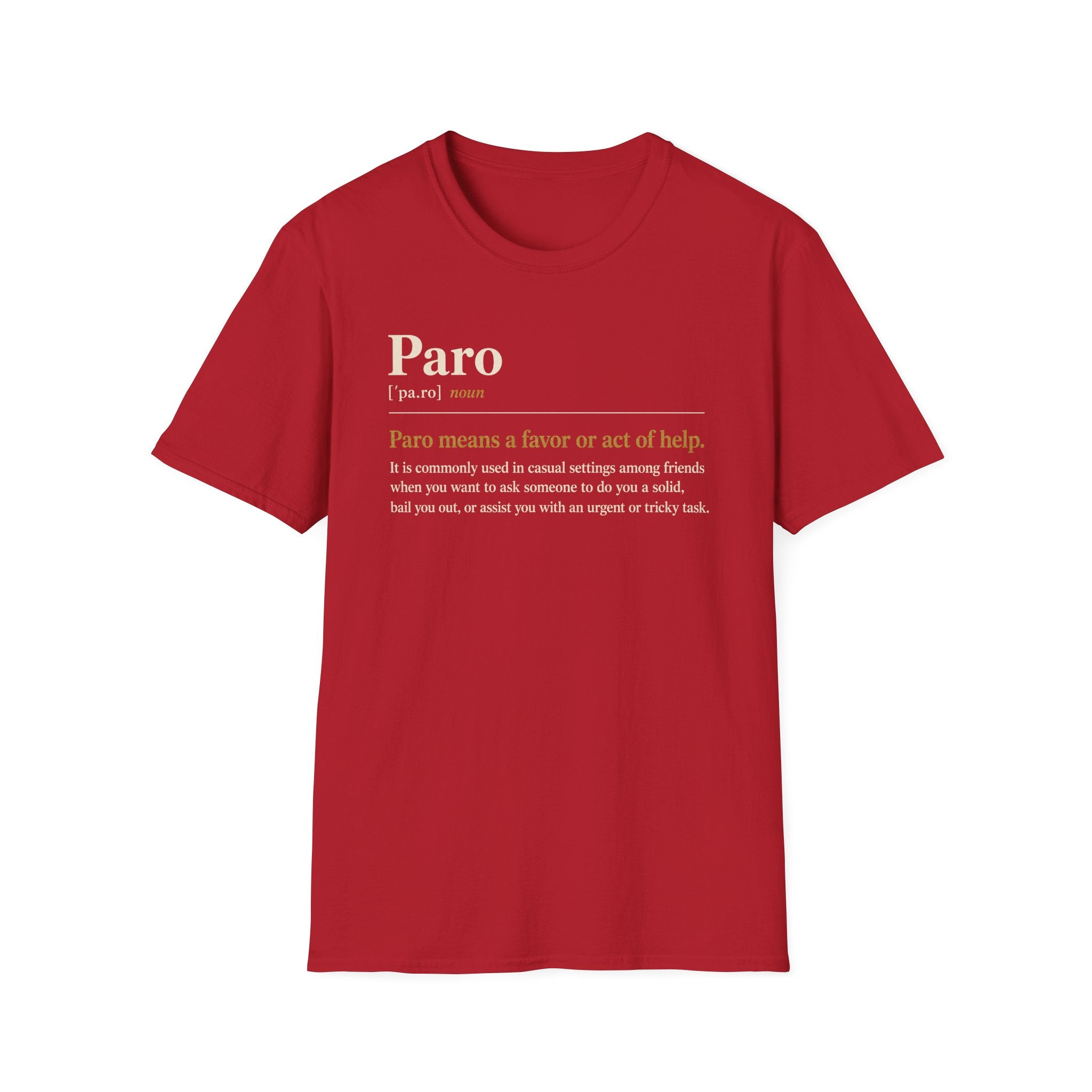 Paro Definition T-Shirt — Casual Slang Dictionary Tee